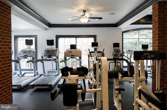 135 Yellowstone Dr Unit 301, Charlottesville, VA 22903 - workout area featuring ceiling fan, crown molding, and healthy amount of natural light