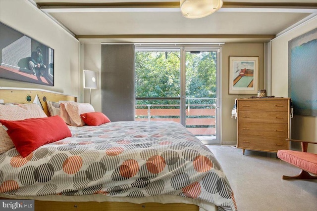  - bedroom with access to outside and carpet