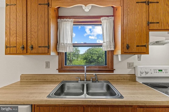 kitchen featuring exhaust hood, a sink, electric stove, brown cabinetry, and light countertops