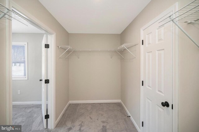 spacious closet with light colored carpet