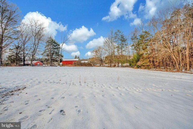 view of yard layered in snow