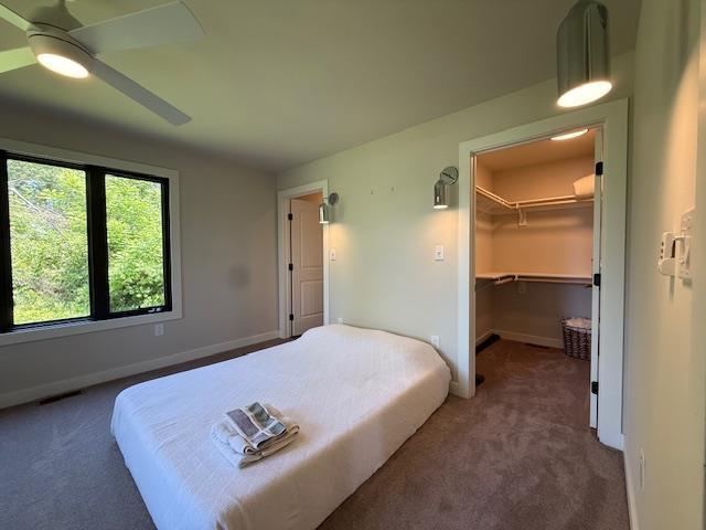 1201 Lakeshore Dr S, Louisa, VA 23093 - carpeted bedroom with a spacious closet, baseboards, ceiling fan, and a closet