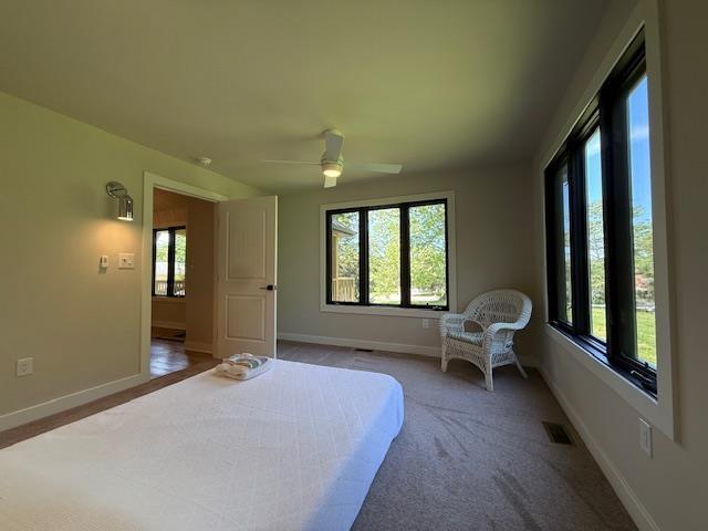 1201 Lakeshore Dr S, Louisa, VA 23093 - bedroom with multiple windows, baseboards, and a ceiling fan