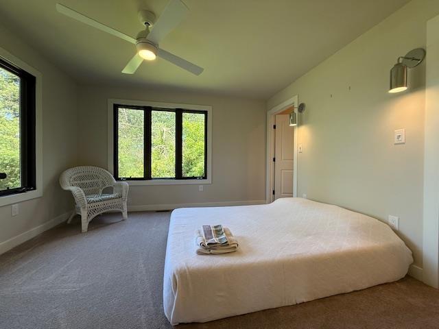 1201 Lakeshore Dr S, Louisa, VA 23093 - bedroom with carpet floors, baseboards, and ceiling fan