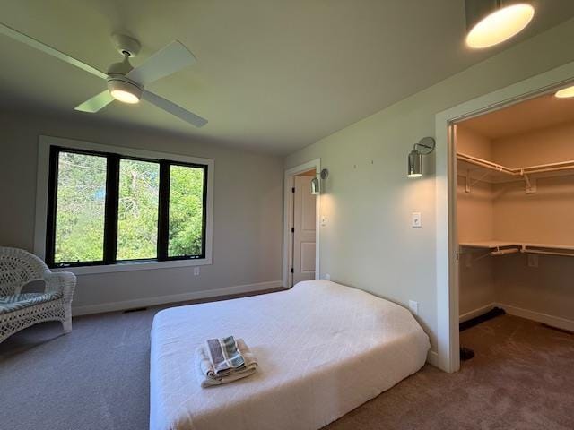 1201 Lakeshore Dr S, Louisa, VA 23093 - bedroom with carpet flooring, baseboards, a walk in closet, and ceiling fan