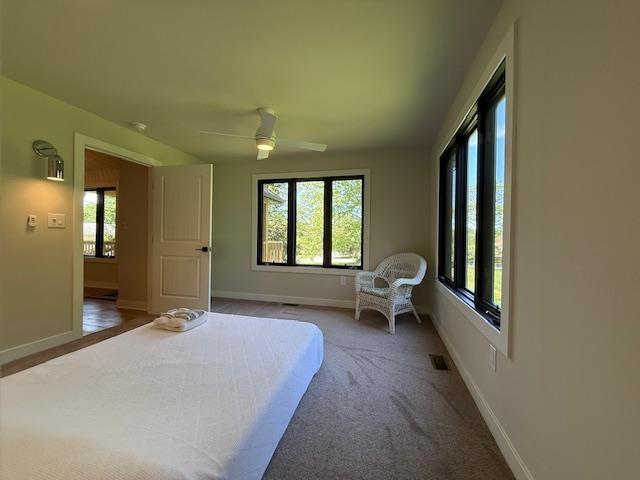 1201 Lakeshore Dr S, Louisa, VA 23093 - bedroom with multiple windows, baseboards, ceiling fan, and carpet floors