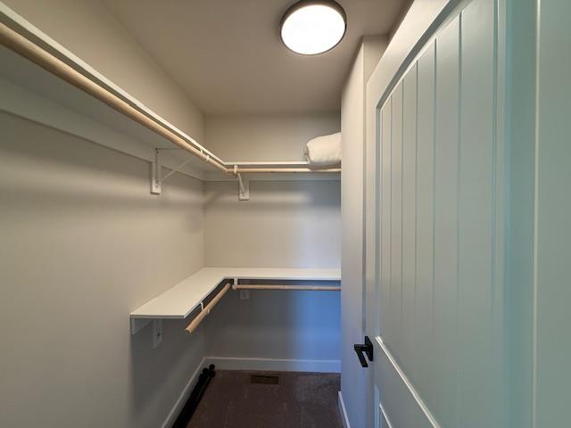 1201 Lakeshore Dr S, Louisa, VA 23093 - view of spacious closet