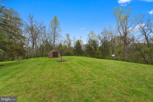 412 Nelmonte Ln, Arrington, VA 22922 - view of grassy yard featuring a shed, an outbuilding, and a wooded view