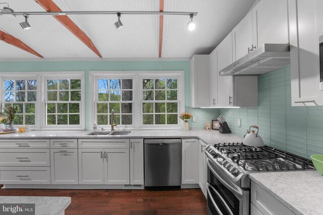 412 Nelmonte Ln, Arrington, VA 22922 - kitchen with appliances with stainless steel finishes, a sink, under cabinet range hood, decorative backsplash, and dark wood-type flooring