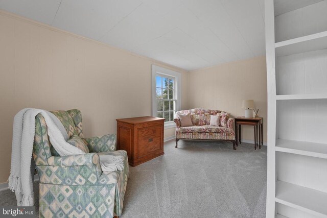 412 Nelmonte Ln, Arrington, VA 22922 - sitting room featuring carpet flooring