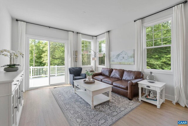 1802 Flora Ln, Charlottesville, VA 22911 - living room featuring healthy amount of natural light and light wood-style flooring