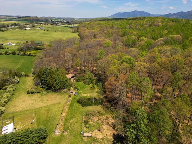 7598 Lee Hwy N, Raphine, VA 24472 - overview of rural landscape featuring a mountain backdrop and a heavily wooded area