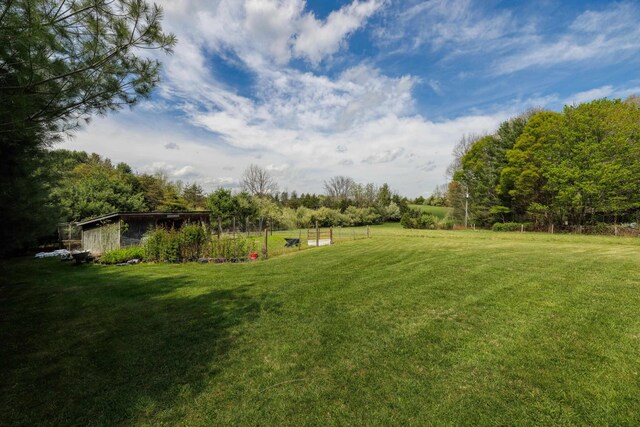 7598 Lee Hwy N, Raphine, VA 24472 - view of grassy yard