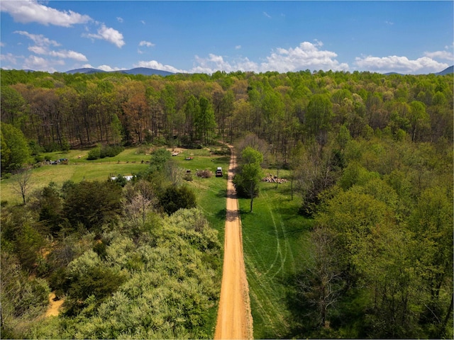 7598 Lee Hwy N, Raphine, VA 24472 - aerial view of a heavily wooded area and a mountainous background