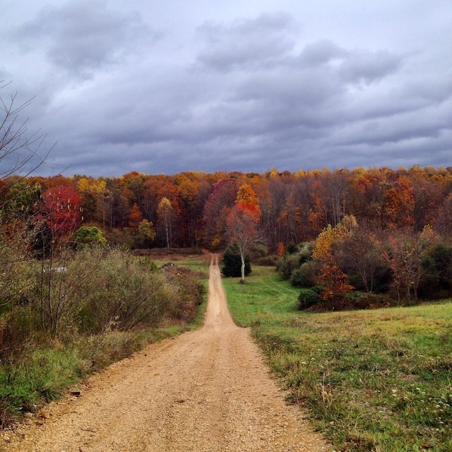 7598 Lee Hwy N, Raphine, VA 24472 - view of dirt / gravel road featuring a view of trees