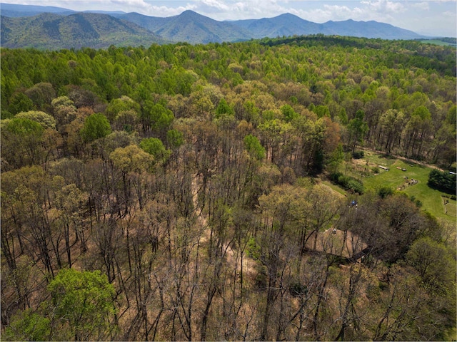 7598 Lee Hwy N, Raphine, VA 24472 - view of mountain backdrop featuring a forest