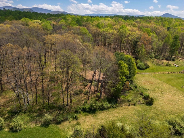 7598 Lee Hwy N, Raphine, VA 24472 - view of mountain background with a forest