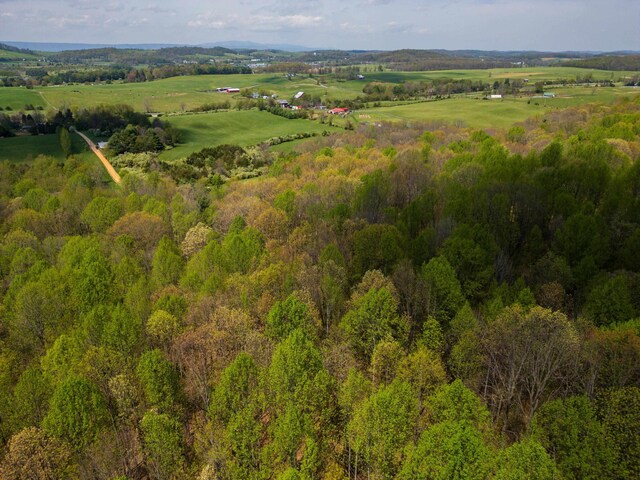 7598 Lee Hwy N, Raphine, VA 24472 - aerial overview of property's location with a forest