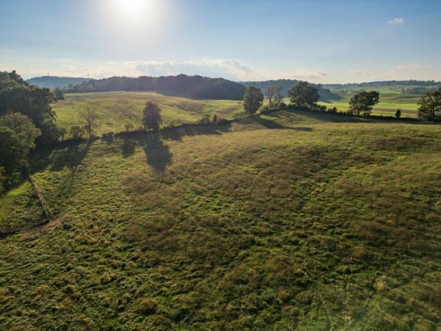 47ACRES Lee Hwy N, Raphine, VA 24472 - photo 3