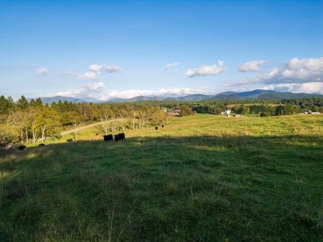 47ACRES Lee Hwy N, Raphine, VA 24472 - photo 19