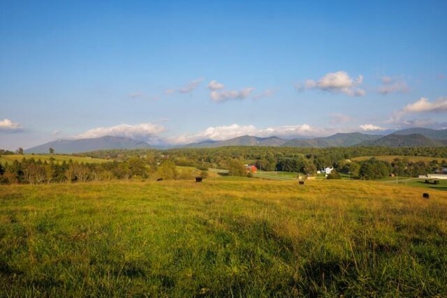 47ACRES Lee Hwy N, Raphine, VA 24472 - photo 10