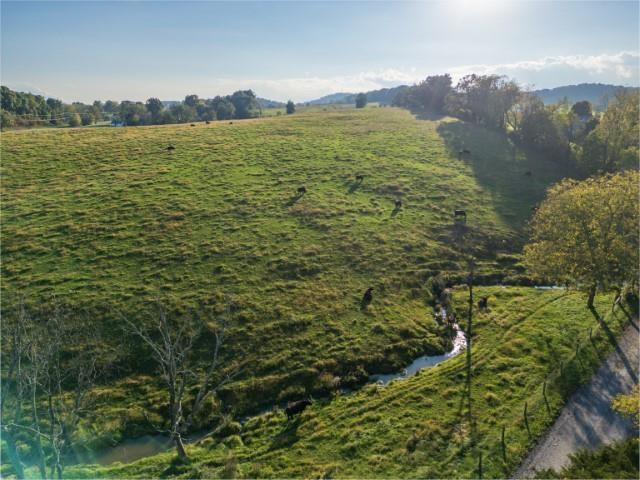 47ACRES Lee Hwy N, Raphine, VA 24472 - photo 6