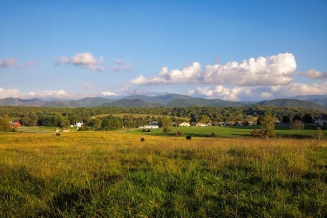 47ACRES Lee Hwy N, Raphine, VA 24472 - photo 2