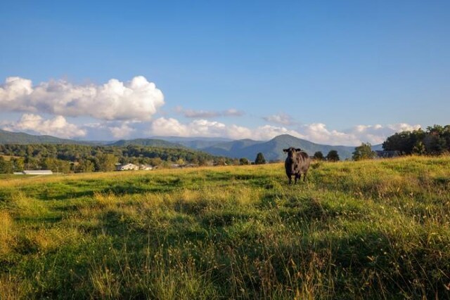 47ACRES Lee Hwy N, Raphine, VA 24472 - photo 4
