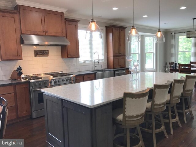  - kitchen with under cabinet range hood, dark wood finished floors, a sink, crown molding, and appliances with stainless steel finishes