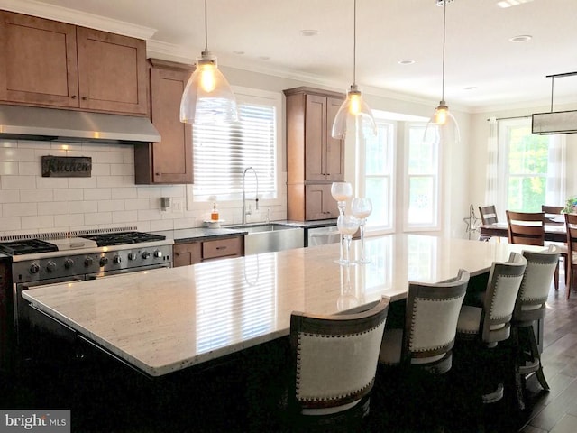  - kitchen featuring under cabinet range hood, crown molding, a kitchen island, and a sink