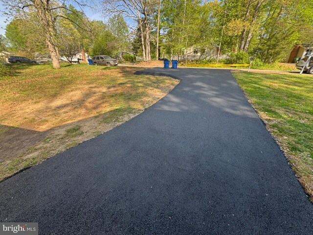 10703 Redbird Ln, Spotsylvania, VA 22553 - view of street with view of scattered trees