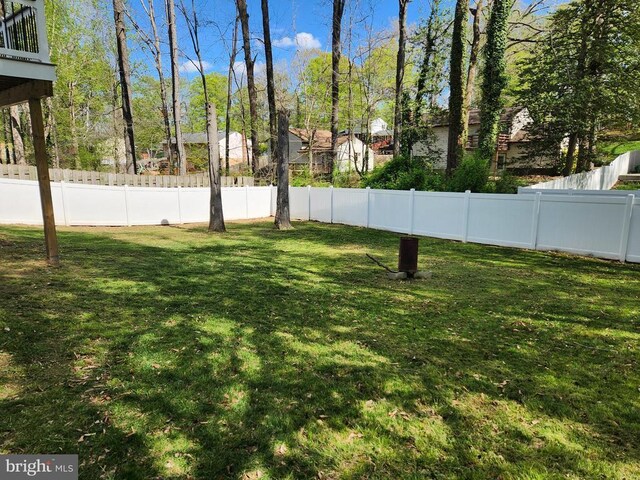 10703 Redbird Ln, Spotsylvania, VA 22553 - view of yard