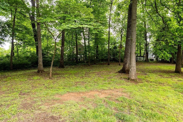 116 Pelham Woods Cir, Waynesboro, VA 22980 - photo 9