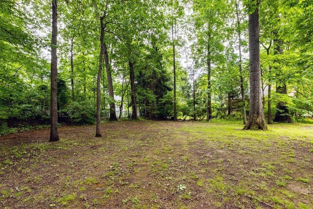 116 Pelham Woods Cir, Waynesboro, VA 22980 - photo 10