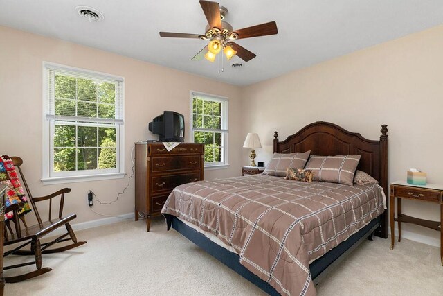 116 Pelham Woods Cir, Waynesboro, VA 22980 - photo 44