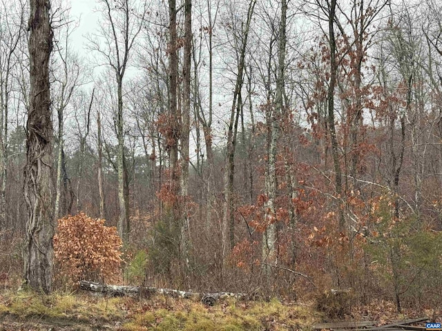 6872 James Anderson Hwy W, Gladstone, VA 24553 - photo 12
