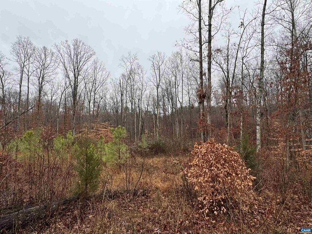 6872 James Anderson Hwy W, Gladstone, VA 24553 - photo 8