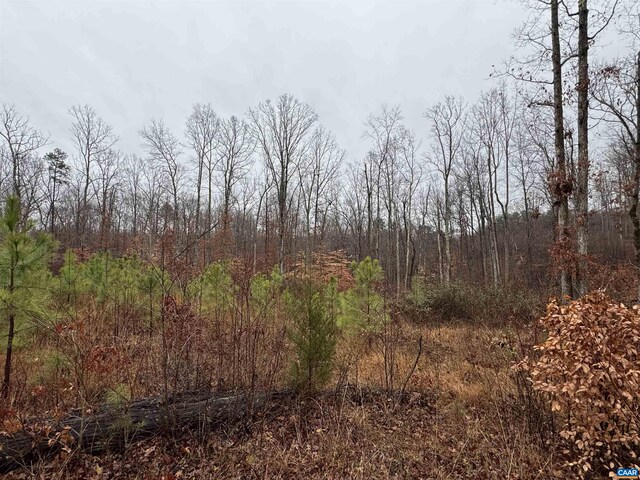 6872 James Anderson Hwy W, Gladstone, VA 24553 - photo 11