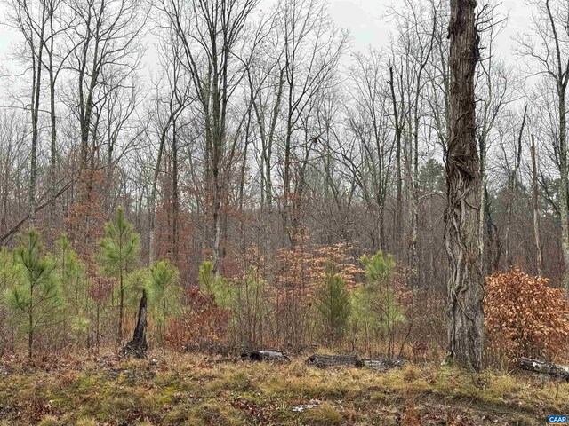 6872 James Anderson Hwy W, Gladstone, VA 24553 - photo 13