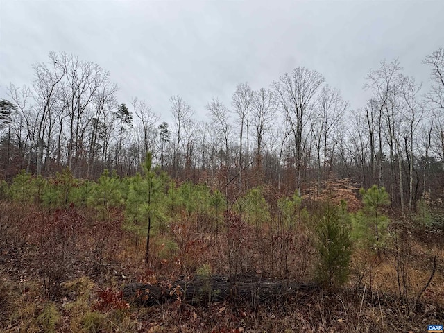 6872 James Anderson Hwy W, Gladstone, VA 24553 - photo 7