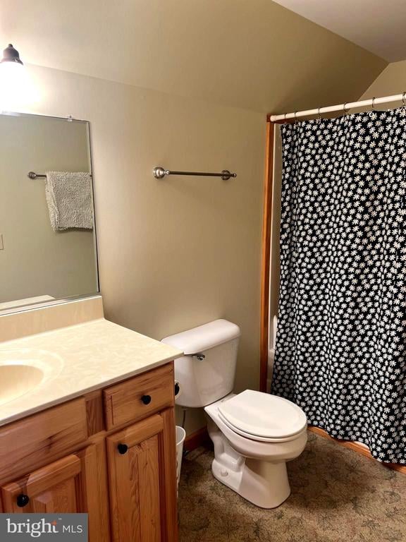 26536 Pennfields Dr, Orange, VA 22960 - full bathroom featuring toilet, vanity, a shower with curtain, and vaulted ceiling