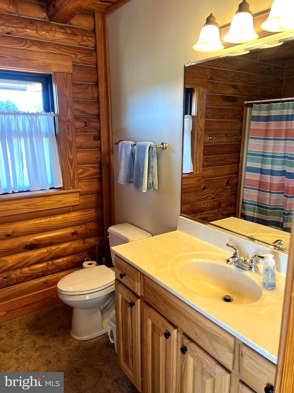 26536 Pennfields Dr, Orange, VA 22960 - full bath featuring rustic walls, toilet, vanity, and curtained shower
