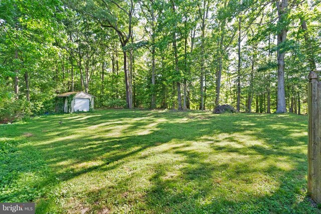6314 Foster Rd, Spotsylvania, VA 22553 - view of grassy yard