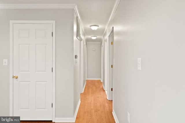 6314 Foster Rd, Spotsylvania, VA 22553 - hall with baseboards, light wood finished floors, and crown molding