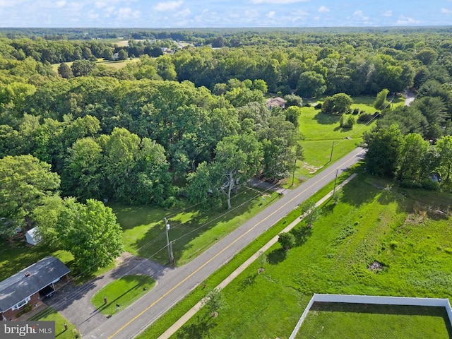 6314 Foster Rd, Spotsylvania, VA 22553 - aerial view of a forest