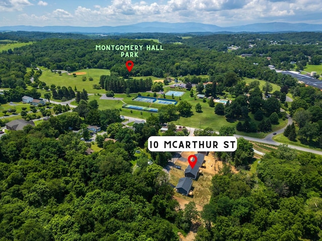 10 Mcarthur St, Staunton, VA 24401 - photo 45