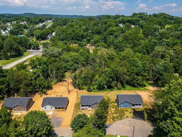 10 Mcarthur St, Staunton, VA 24401 - photo 41