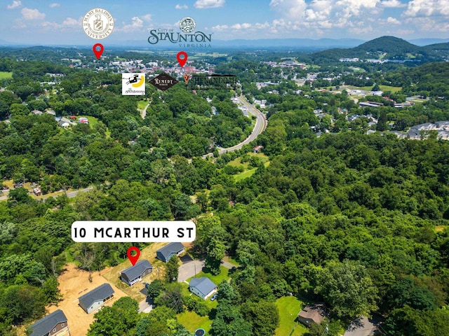 10 Mcarthur St, Staunton, VA 24401 - photo 44
