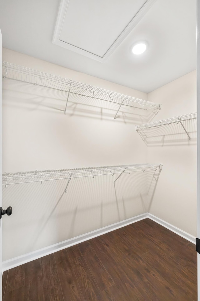 10 Mcarthur St, Staunton, VA 24401 - photo 25