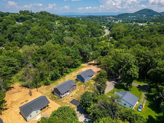 10 Mcarthur St, Staunton, VA 24401 - photo 40